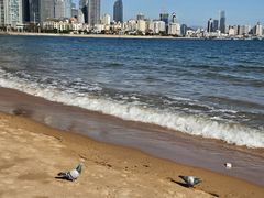 -青岛第三海水浴场