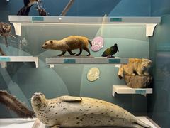 -国家自然博物馆