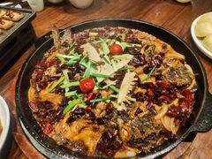 -老板恋上鱼(荣盛广场店)
