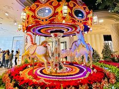 -拉斯维加斯永利酒店