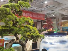 -小湘旺臭鳜鱼(百子湾店)