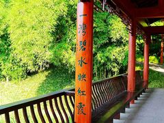 -重庆彩云湖湿地公园