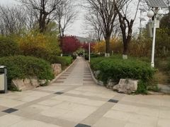 -济南国际园博园