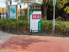 -大兴滨河森林公园