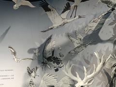 -中国湿地博物馆