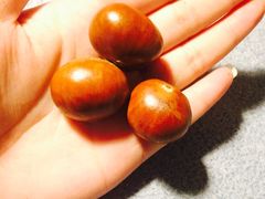 -金栗王(清扬路店)