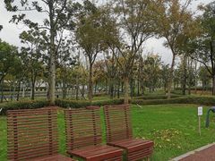 -上海山野camping·户外天幕烧烤·团建拓展营地