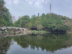 -重庆彩云湖湿地公园