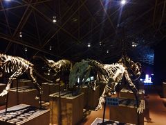 -世界恐龙谷景区