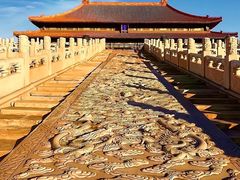 -故宫博物院(故宫)