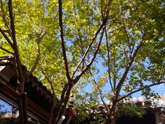 -VOYAGE COFFEE(杨梅竹店)