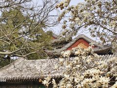 -颐和园