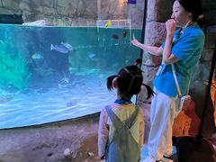 -沈阳海洋探索中心