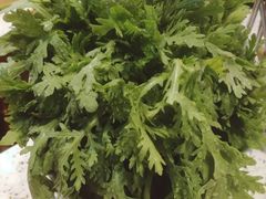 -椰子营·椰子鸡火锅(万象里店)