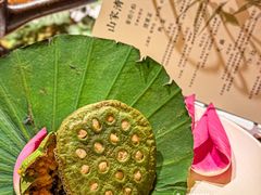 -叶叶菩提(太原别墅店)