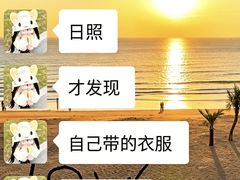 -日照海滨国家森林公园