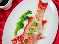 -浦东绿地铂骊酒店-POYA西餐厅(绿地东海岸国际广场店)
