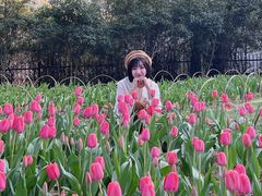 -无锡梅园公园