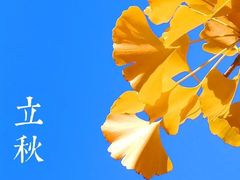 -大清八旗老北京铜锅涮肉