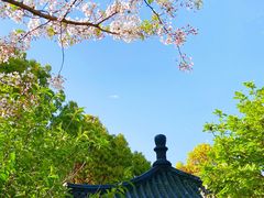 -南汇桃花村