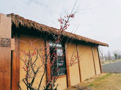 -良渚古城遗址公园
