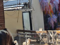 -HERRE·FARM 赫尔露营农场·团建聚会包场