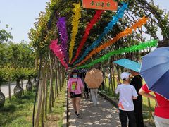 -武汉紫薇都市田园