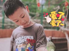 -杭州开元森泊度假乐园