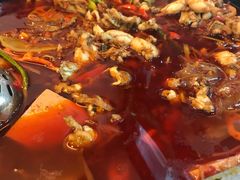 仅有跳水蛙-自贡好吃客(科华店)