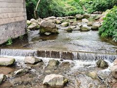 -重庆彩云湖湿地公园
