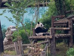 -南宁市动物园