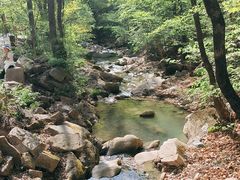 -本溪汤沟绿石谷森林公园