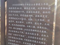 -阳台山自然风景区