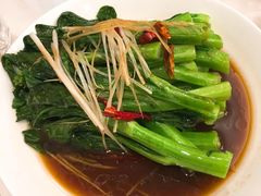 白灼菜心-南山鲜虾面·活鲜小馆·海味大连菜(南山总店)