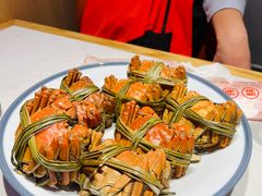 -杨氏青龙虾·羊蝎子(托乐嘉店)