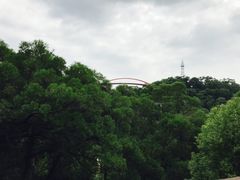 -金鸡山公园