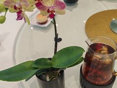 -金河半岛园林酒家(金融城店)