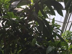 -南通洲际绿博园