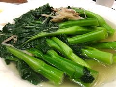 油菜心-优之名鹅城