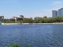 -莲花池公园