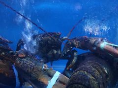 -泮金大塘(北二七路店)