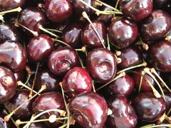 -红星农博物流中心