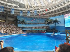 -海合安成都极地海洋公园