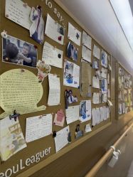 -上海首尔丽格医疗美容医院