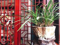 -四海楼(如皋定慧禅寺店)