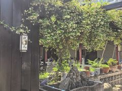 -代木儿回锅肉