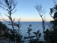 -南紀白浜 浜千鳥の湯 海舟