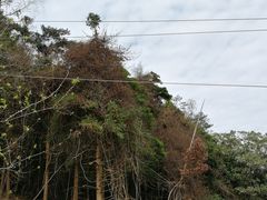 -广州市石门国家森林公园