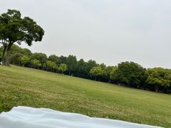 -上海吴淞炮台湾国家湿地公园