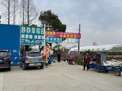-小鱼草莓采摘园农家乐·小鱼餐厅